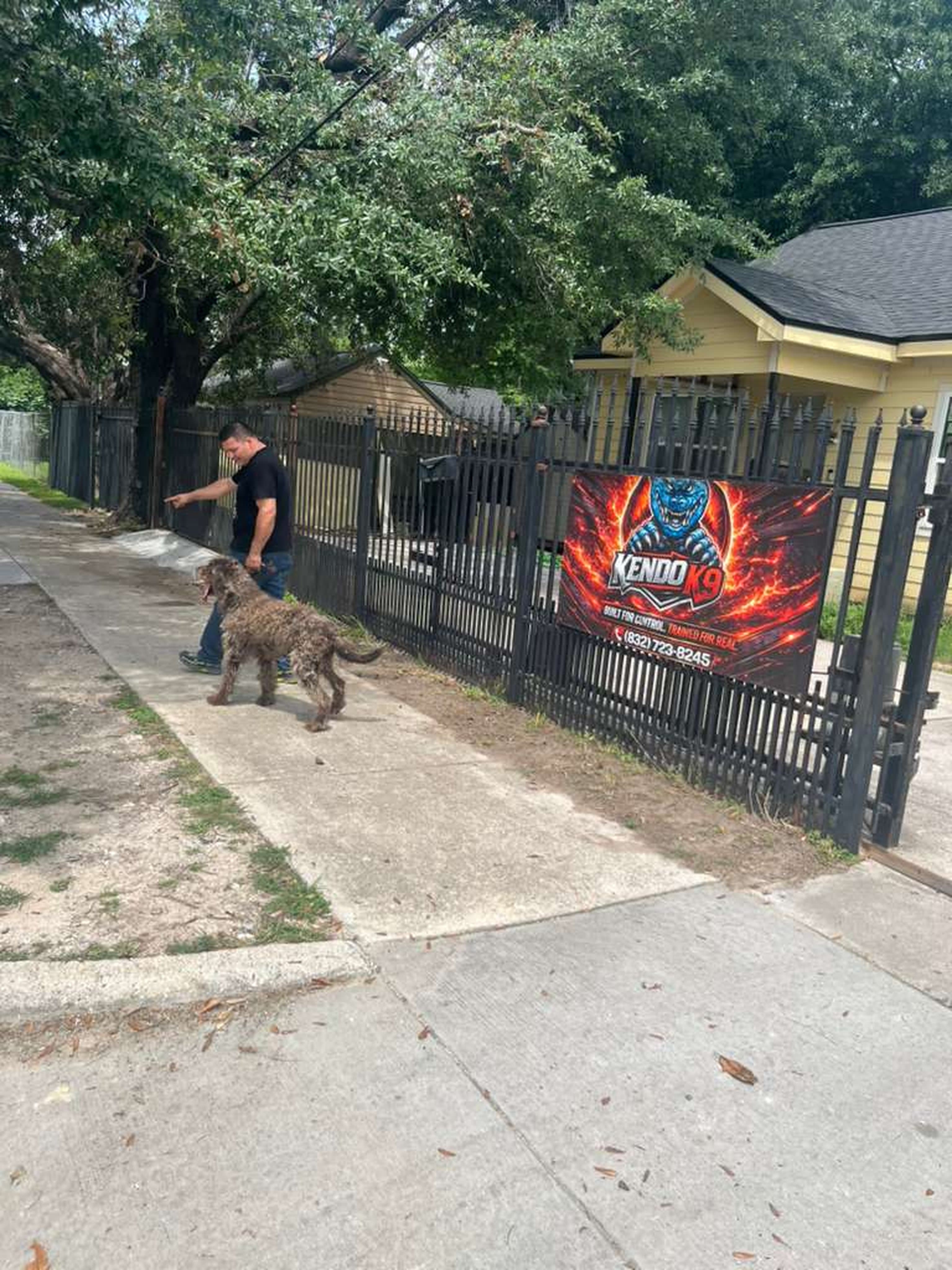Dog training photo